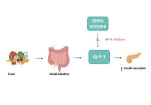 A simplified and fun explanation of the role of GLP-1 and DPP-4 in diabetes management